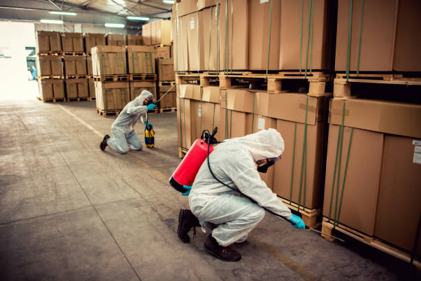 Trusted Ronceverte, WV Pest Control Experts