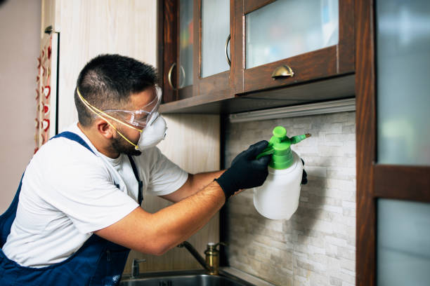 Pest Prevention Services in Ronceverte, WV