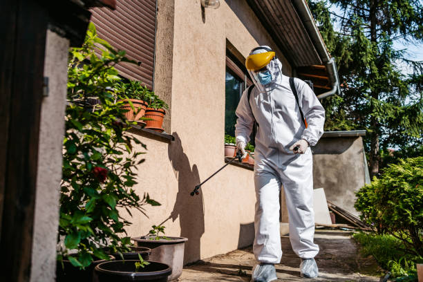 Best Pest Inspection Near Me  in Ronceverte, WV
