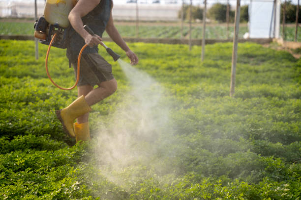 Best Best Pest Control Companies  in Ronceverte, WV