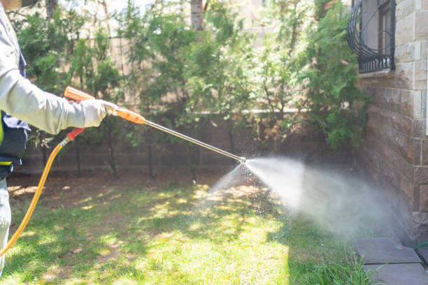 Best Exterminator Services  in Ronceverte, WV