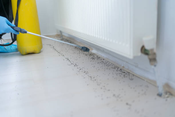 Pest Control Cost in Ronceverte, WV